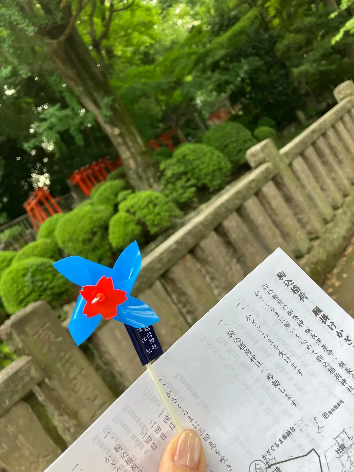 夏詣　根津神社　かざくるま祭り 千本鳥居　銭湯カフェ　MIYANOYU 宮野湯　神社　御朱印　御朱印散歩 切り絵御朱印　カフェ MATCHA&ESPRESSO MIYANO-YU