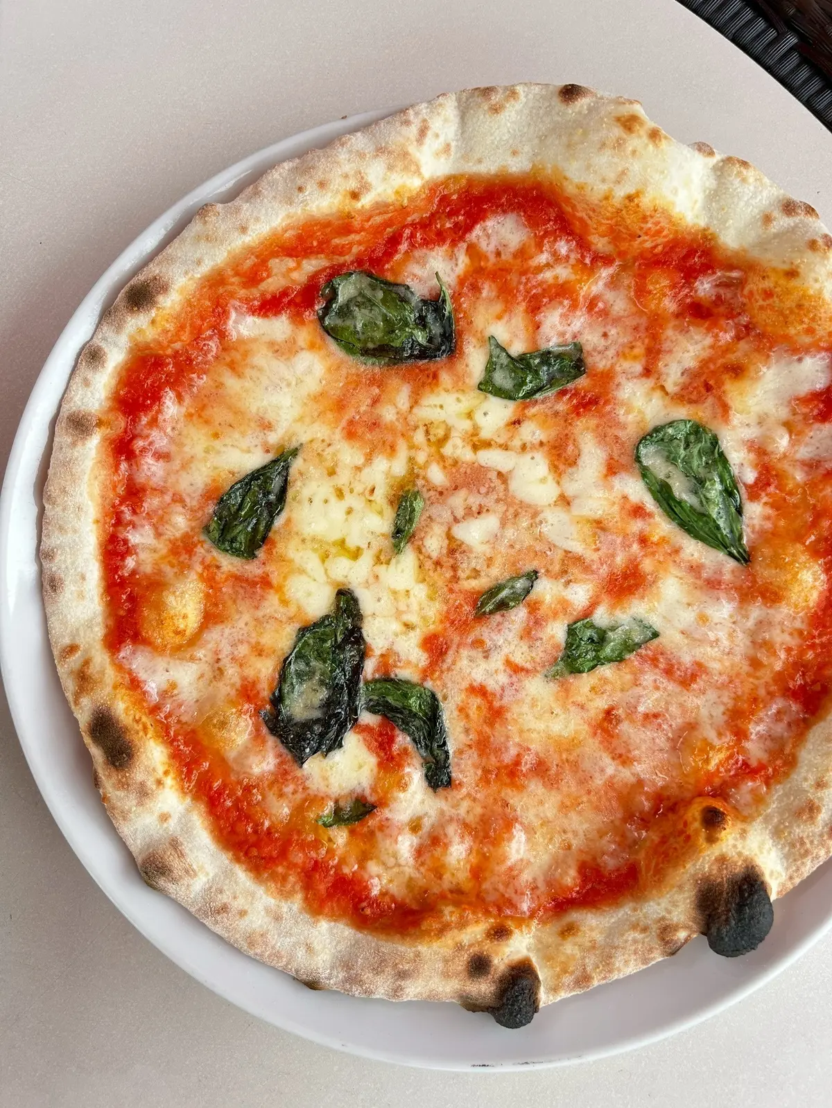 鎌倉で過ごす、とびきりの誕生日ランチの画像_6