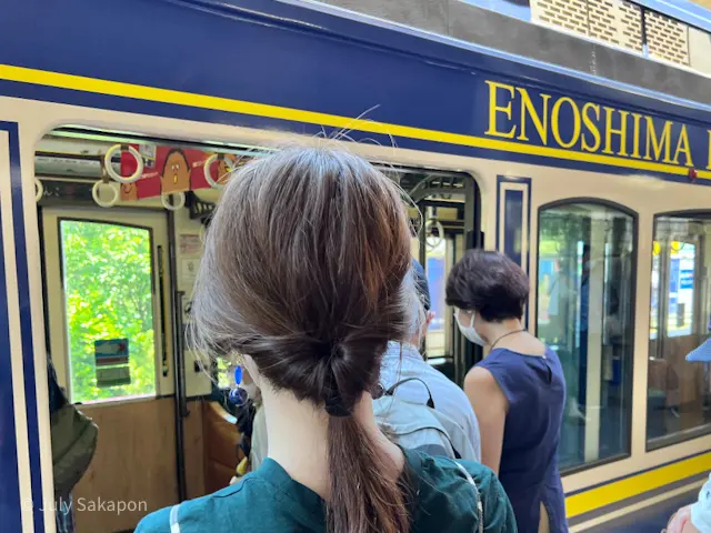 【さかぽんの冒険】海とアジサイの旅❤️@の画像_2