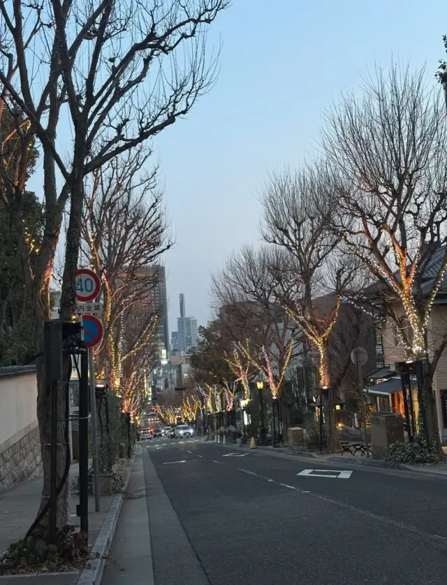 シティーループで北野異人館へ。の画像_14