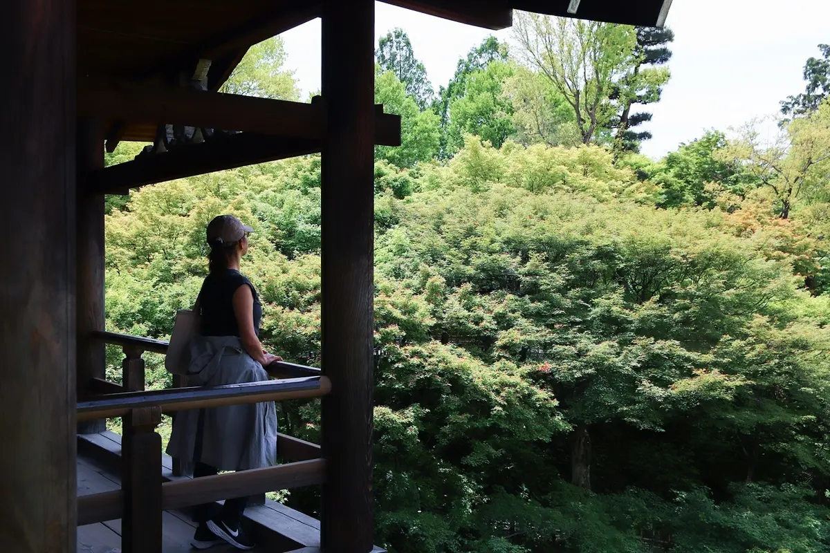 東福寺の青紅葉