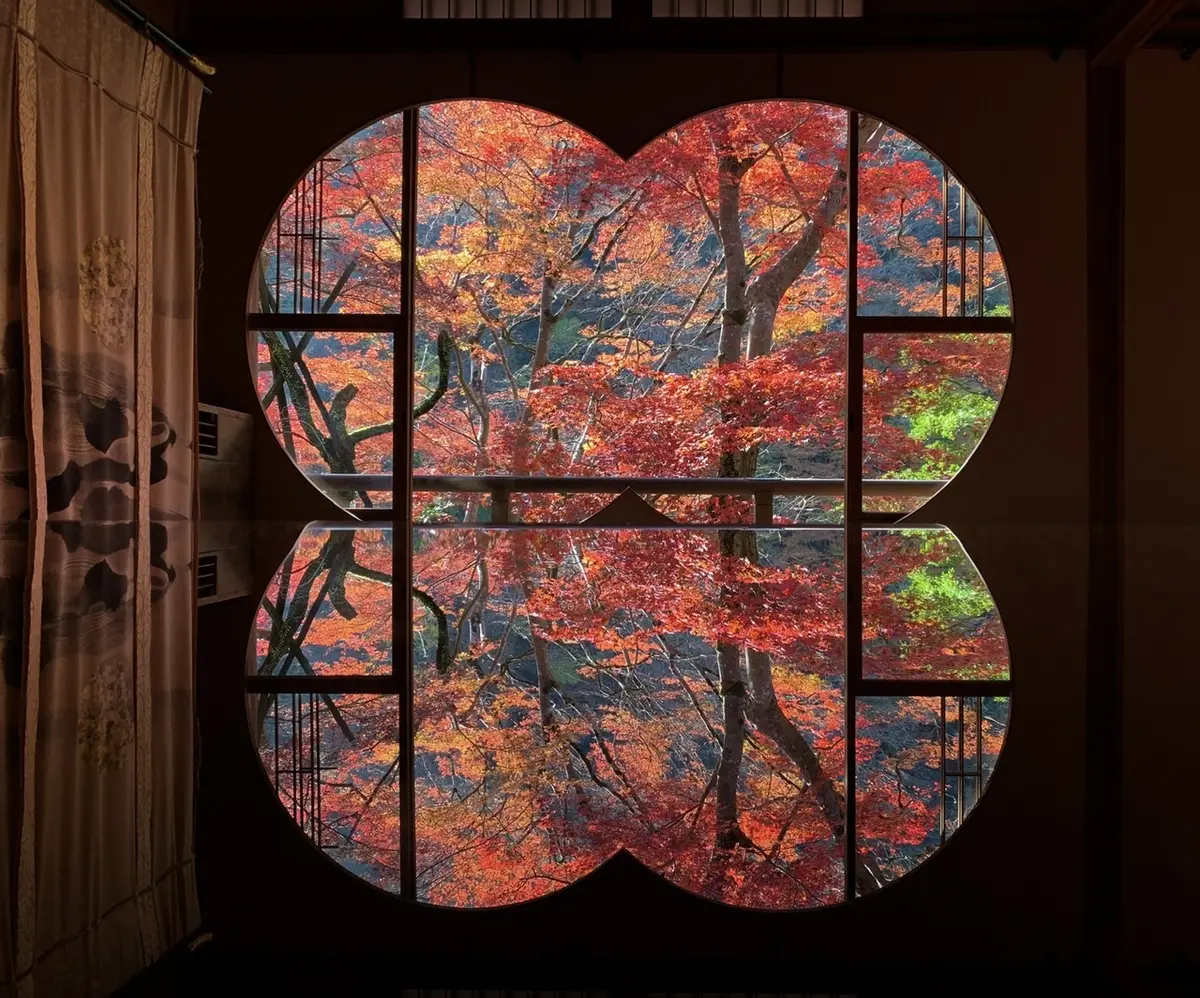 絶対一度は行ってみて欲しい！紅葉の嵐山 の画像_10