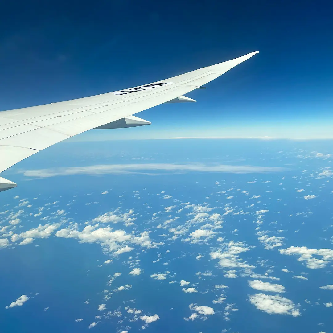 台湾グルメの画像_1