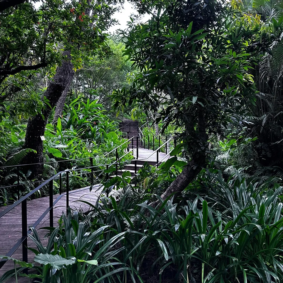 リッツカールトン沖縄でゴルフ＆スパのラグの画像_11