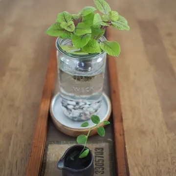 あやしげな古道具も