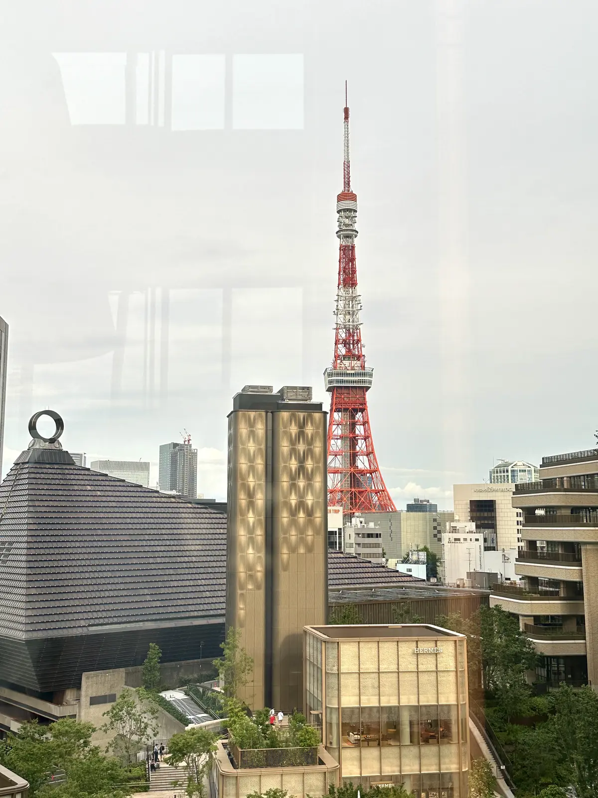 新緑かおる季節🌿ジャヌ東京のアフターヌーの画像_9