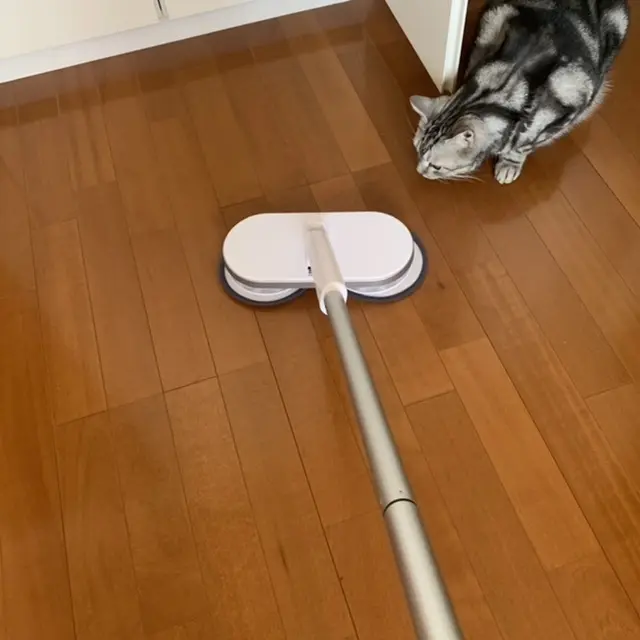 モップクリーナーネオプラスをアランがチェック