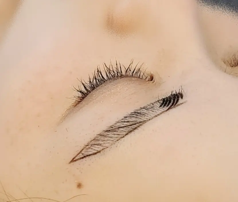 内側から外側に、色を入れていきます。(姪っ子)