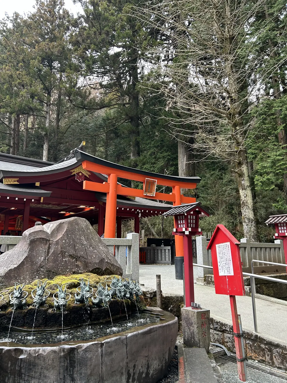 箱根神社へ新年のご挨拶⛩️の画像_3