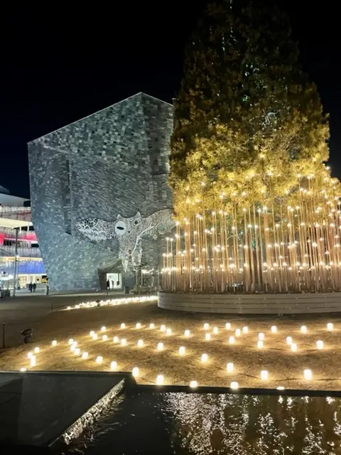 ところざわサクラタウンで夜のお散歩☆の画像_3