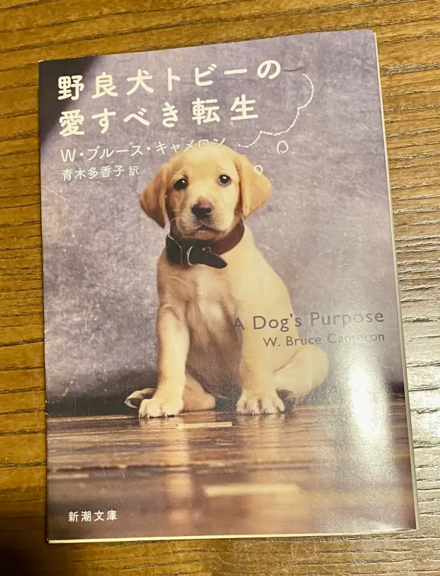 私の雨の日の過ごし方✨普段できないことをの画像_4