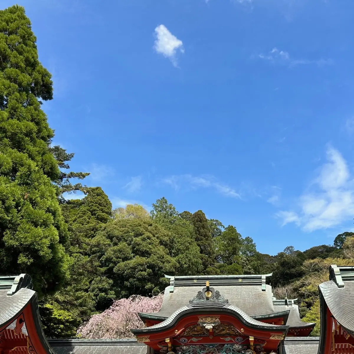 霧島温泉で束の間の非日常をの画像_9