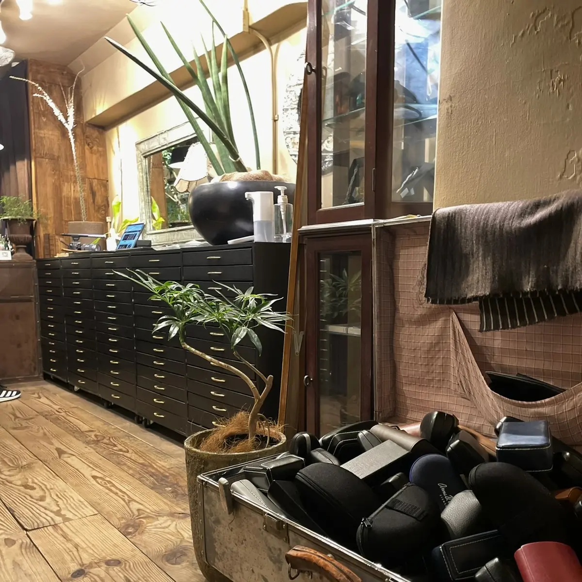 眼鏡でお出かけ、 はじめました。の画像_1