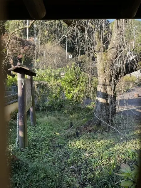 奈良旅①旧皇居に泊まらせて頂きました。の画像_6