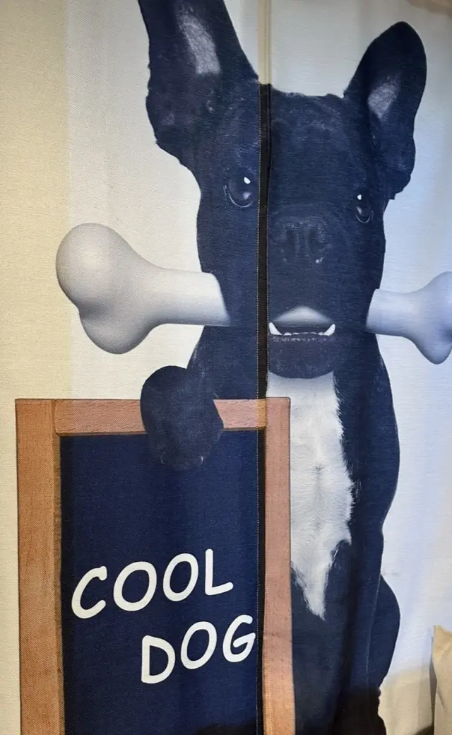 11月7日は、息子チッドくんの誕生日！の画像_6