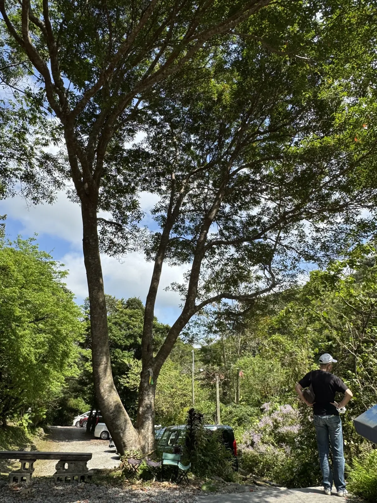 22年ぶりの夫婦沖縄2人旅✈️ 第2弾！の画像_24