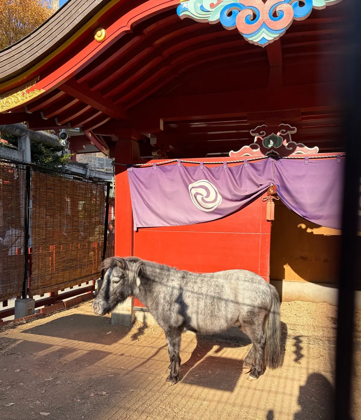 午年　神社　御朱印　神田明神　神馬　あかりちゃん　EDOKKO CAFÉ MASU MASU 枡カフェ　うまくいくお守り　あかりちゃんストラップ　午にまつわる神社　散歩　東京さんぽ　jマダム おでかけ　午年縁起物　天野屋甘酒　餅いなり
