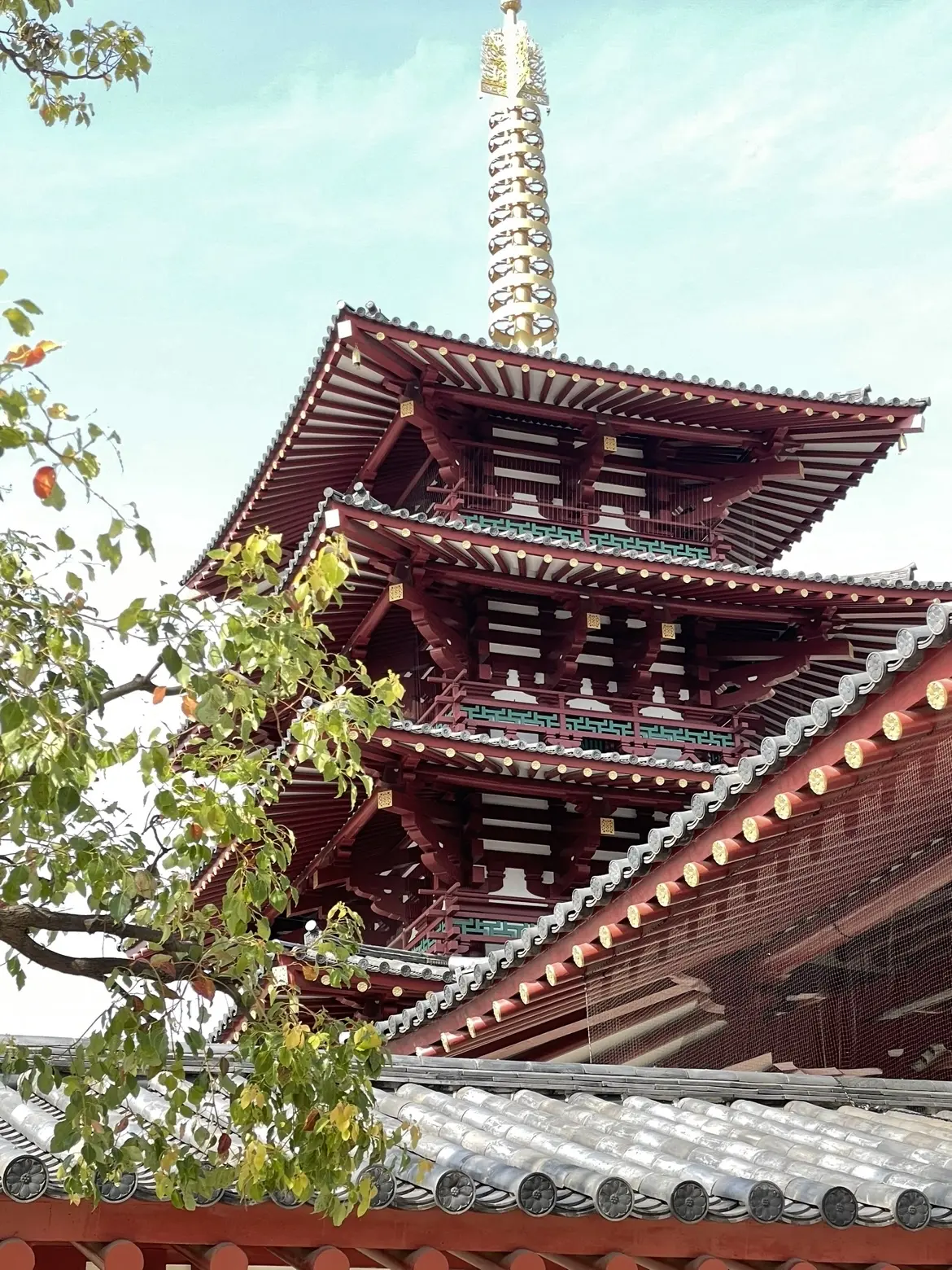 すし処 まさる@四天王寺の画像_3