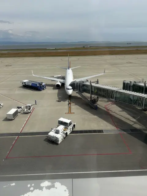 神戸空港からお届け！の画像_5