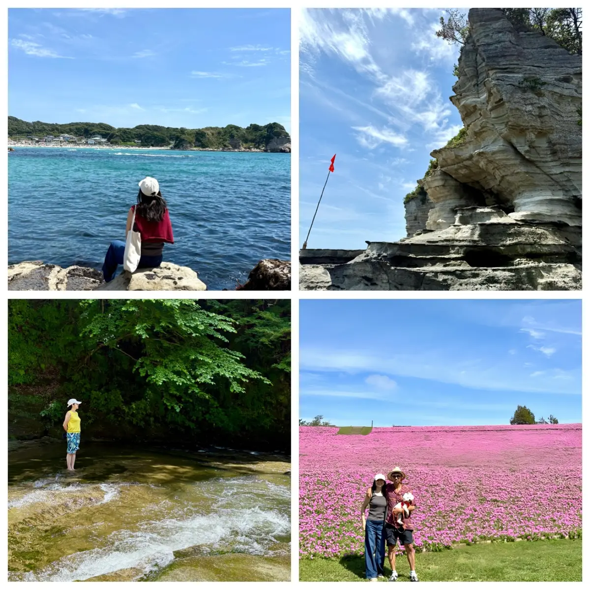 千葉県観光名所　森谷海岸　養老渓谷　マザー牧場