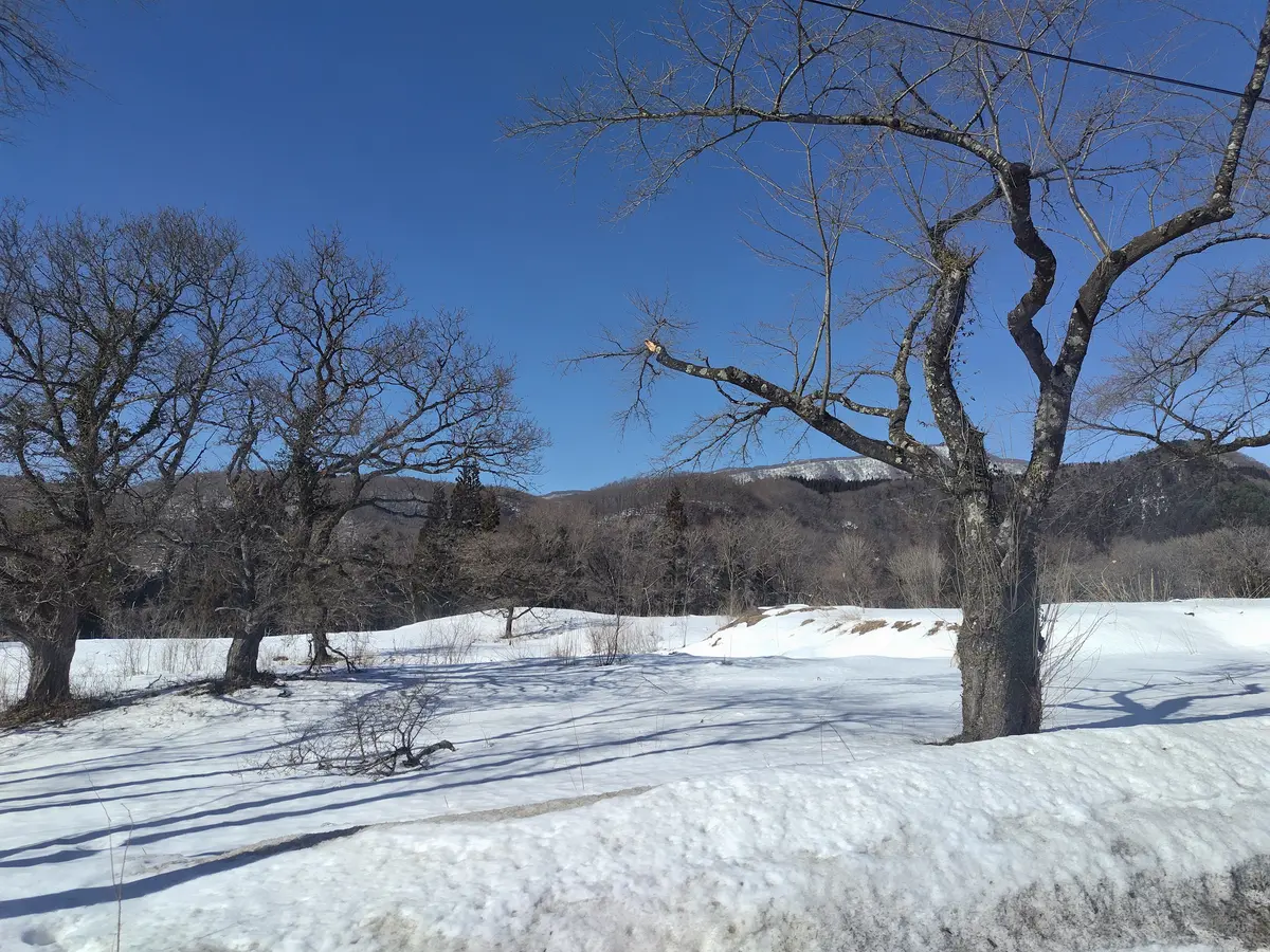 一度は行ってみたい温泉　　乳頭温泉郷へのの画像_13