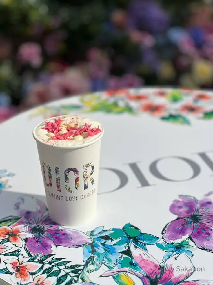 LOEWE❤️ハウルの動く城☆最強タッグの画像_10