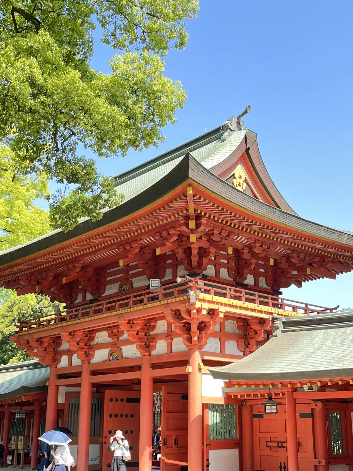 チキンを食べにの画像_10