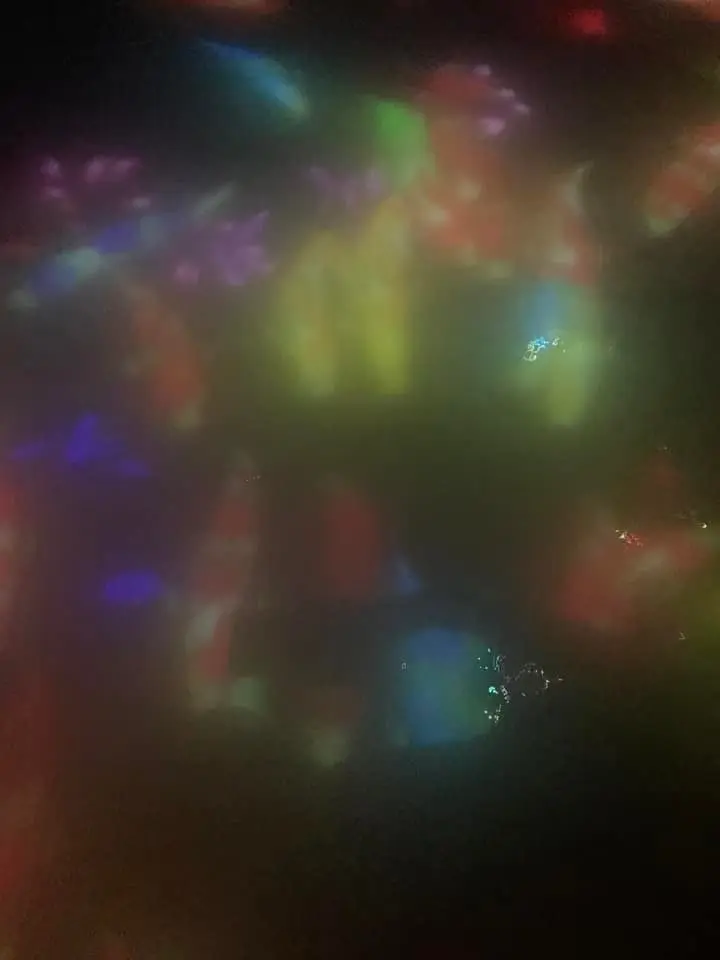 お花大好きな方におススメ。チームラボ豊洲の画像_3