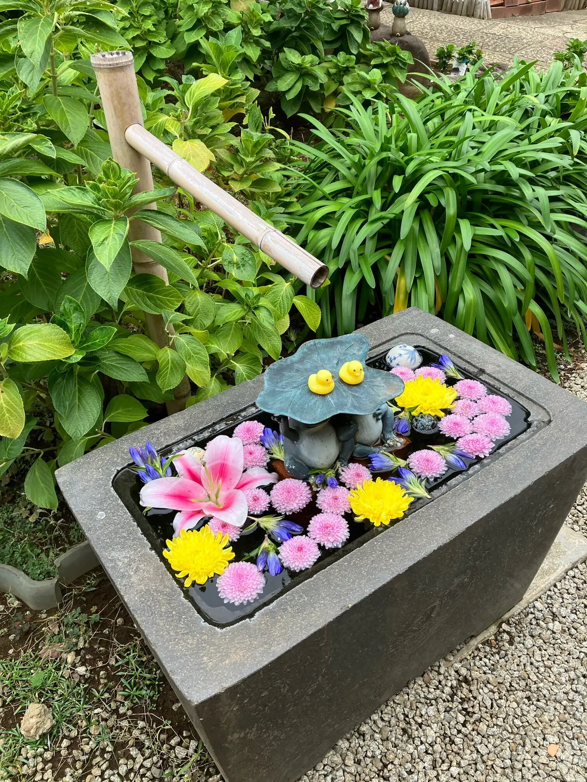 御朱印　法輪寺　切り絵御朱印　早稲田駅　お散歩　御朱印さんぽ　花手水　東京さんぽ　担々麺　岡山担々麺　定膳　EKUBODO Tokyo 早稲田