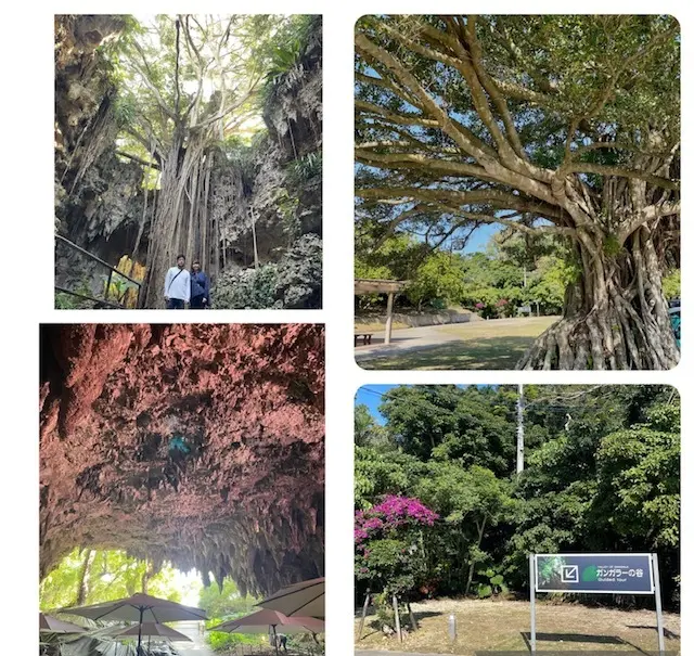 ガンガラーの谷