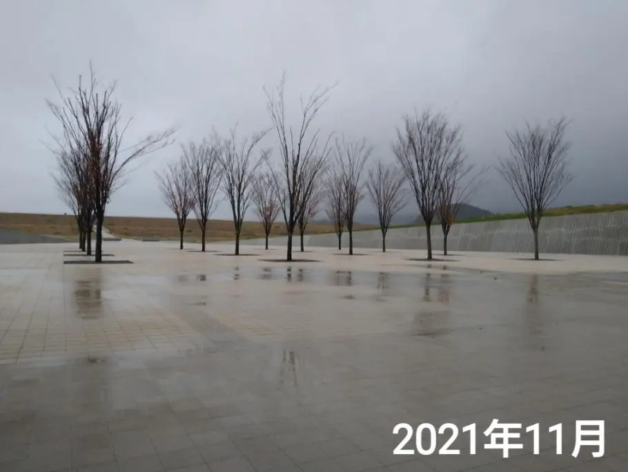 2021年の津波ミュージアム