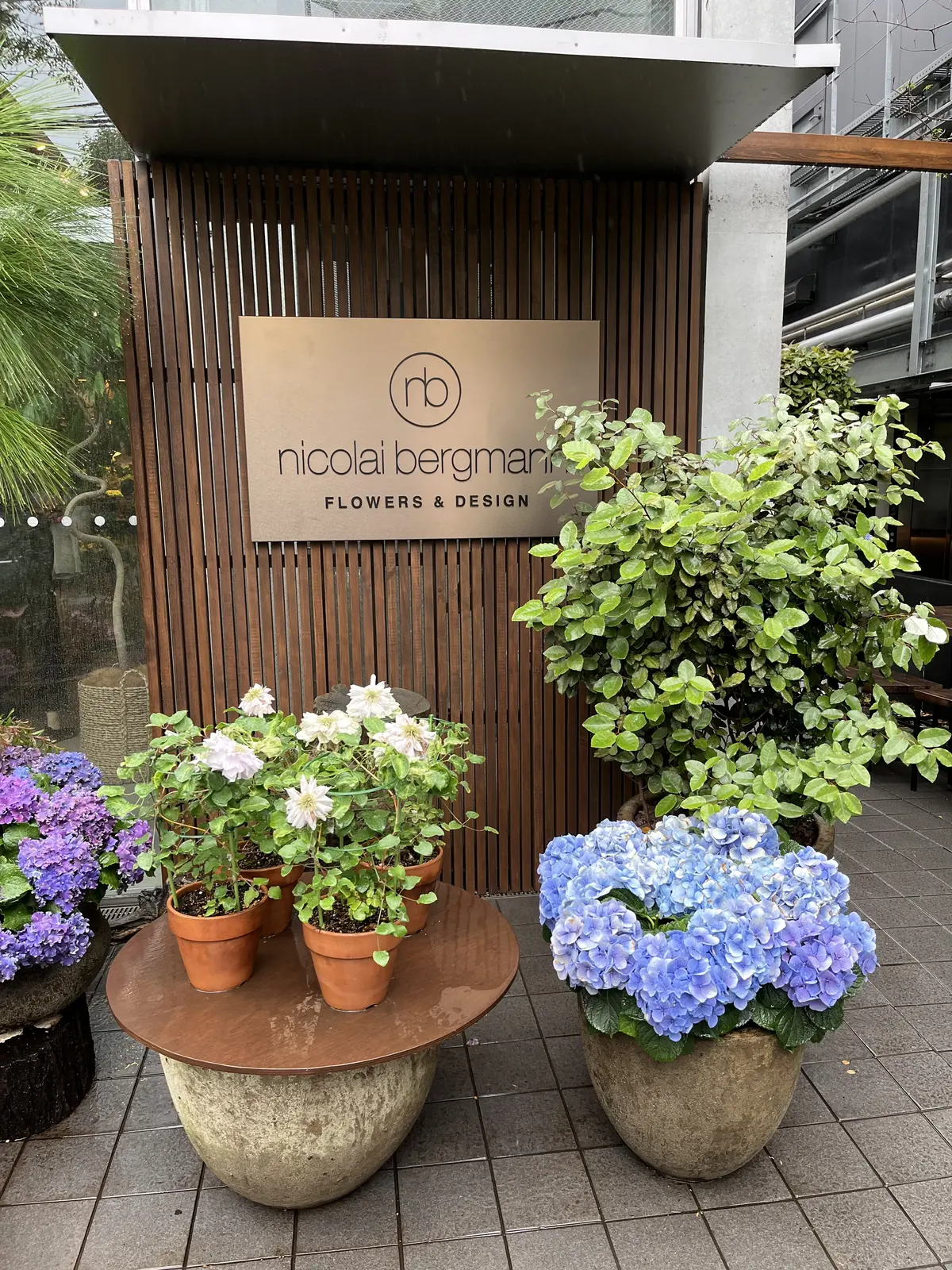 せっかくのお出かけも、雨でプチプラブラッの画像_5