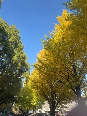 国立西洋美術館〜印象派〜展への画像_12