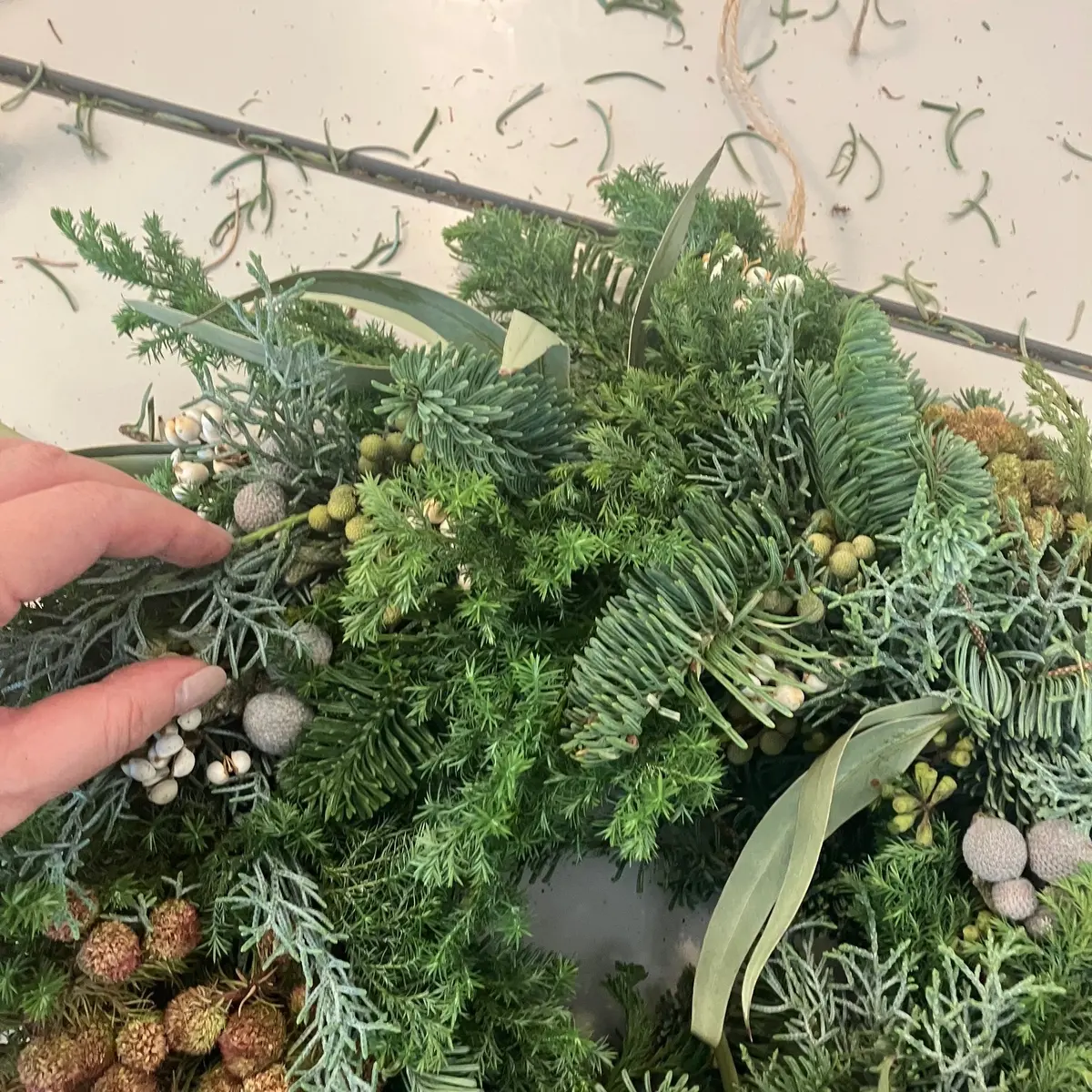 【50代の習い事】冬の森の香りに包まれての画像_8