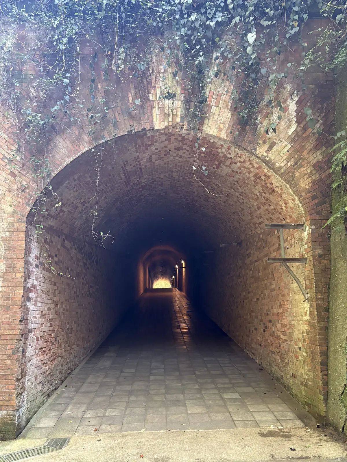 東京湾の無人島　猿島　横須賀　自然島　フランス積みトンネル