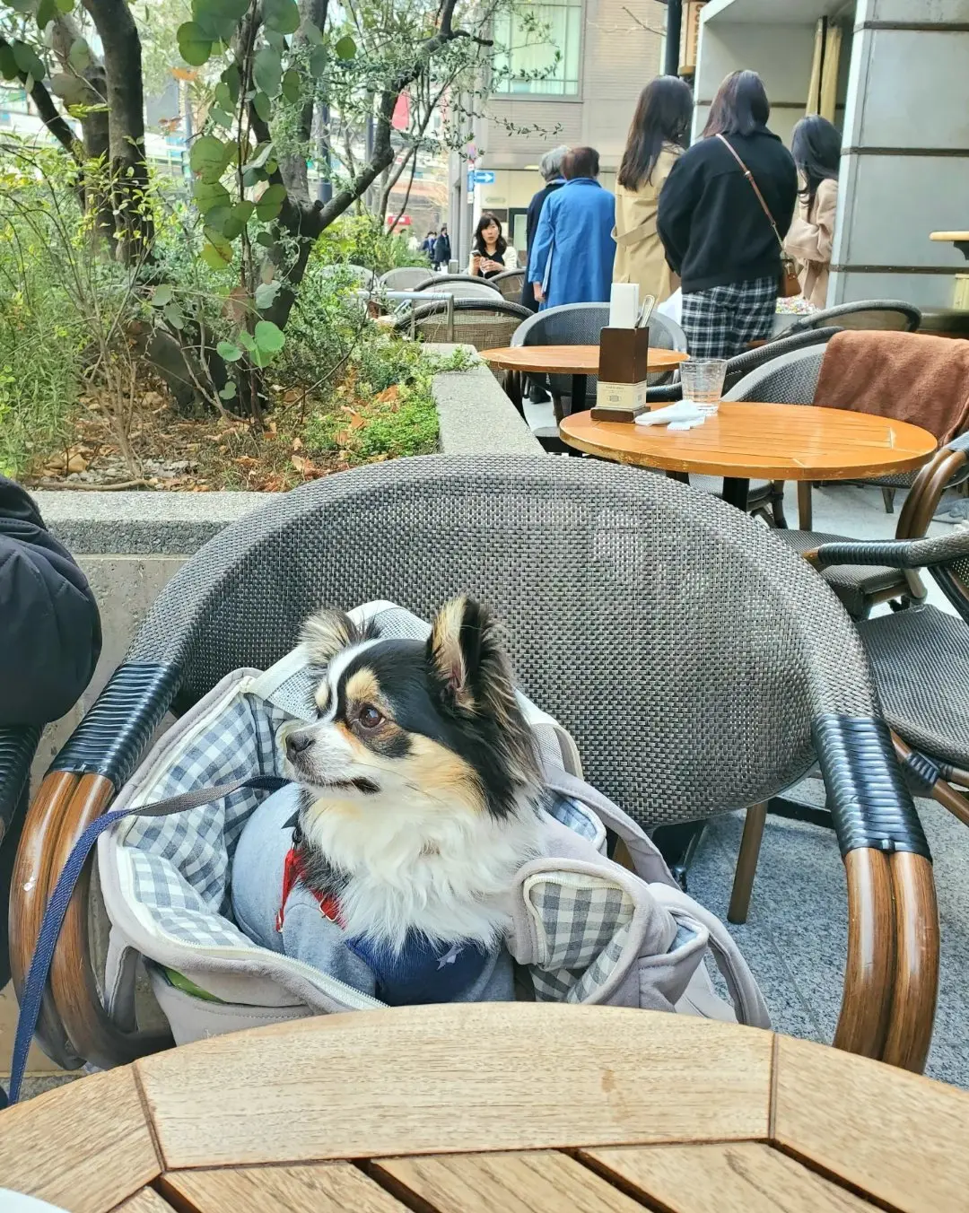 クゥ座っています