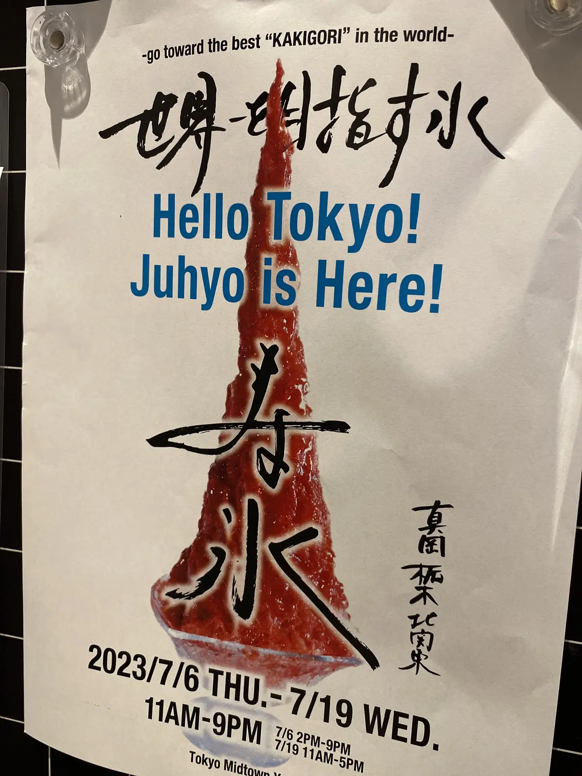 涼を求めて日光への画像_5