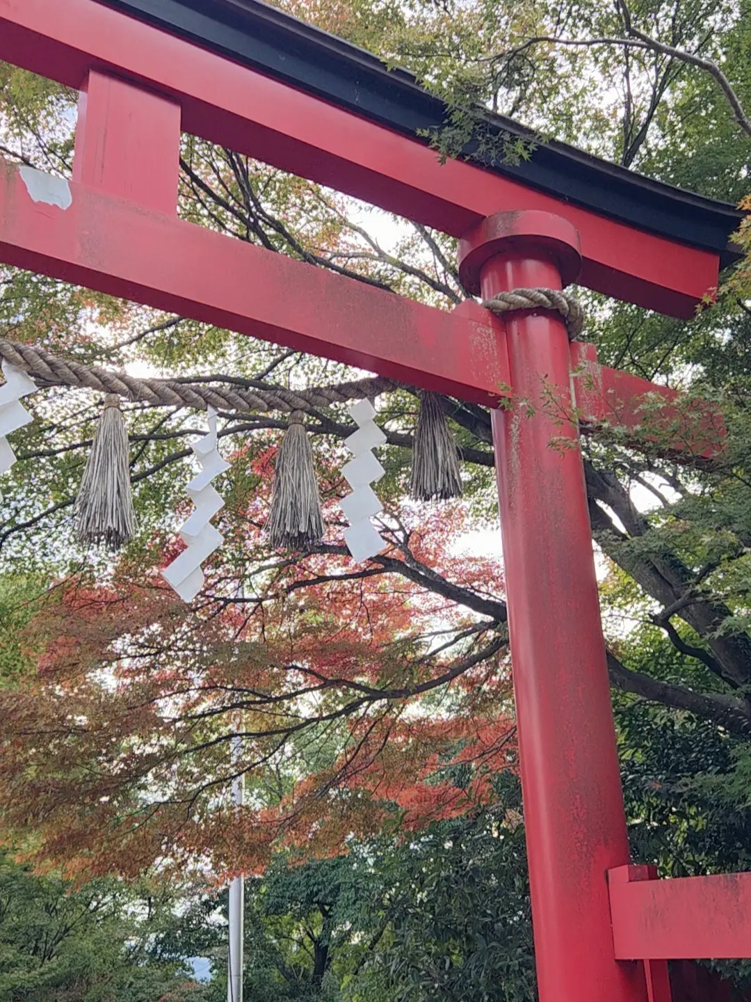 ニットジレが大活躍の秋♡高尾山に行ってきの画像_11