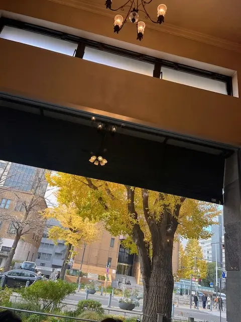 見納め紅葉～中華街から横浜街歩きの画像_10