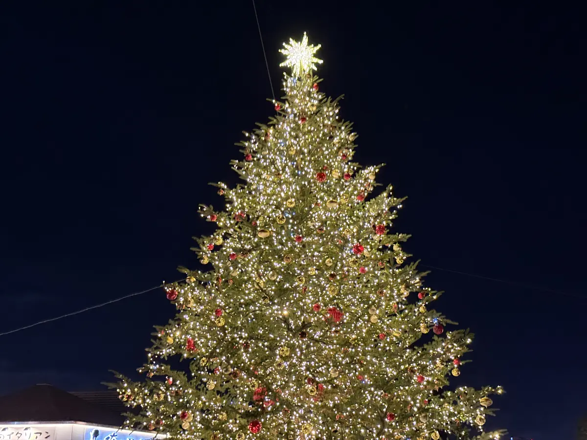 記憶辿り散歩からの東京グルメたちの画像_4