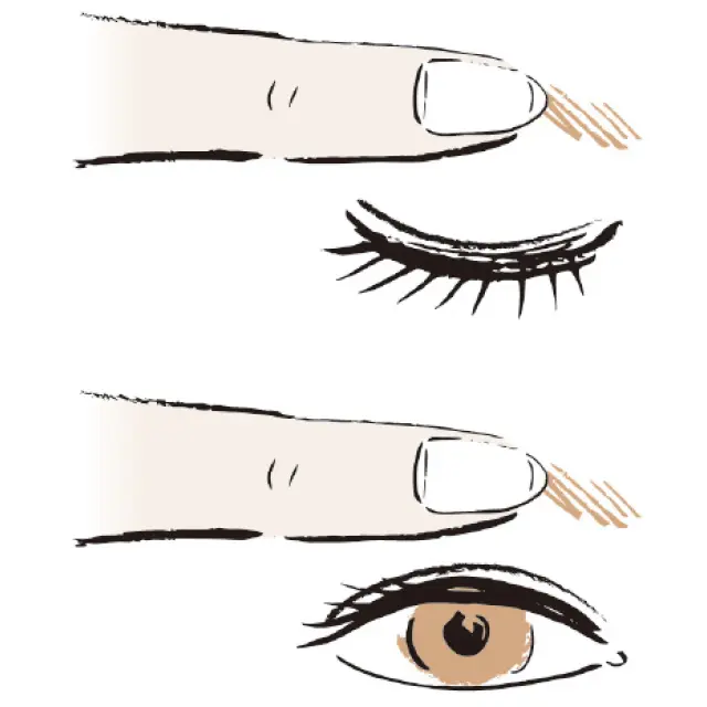 眉毛の動きをCHECK！