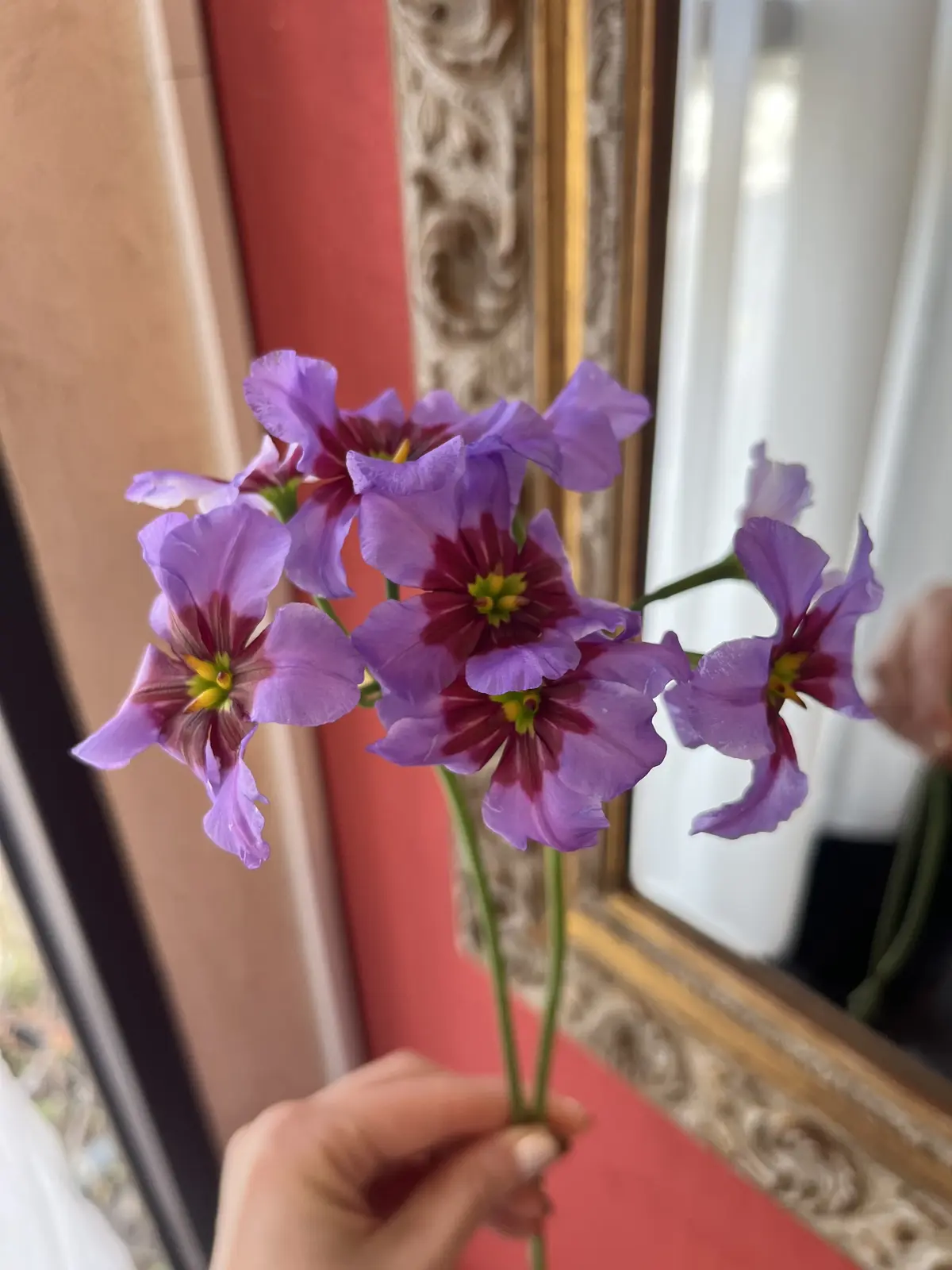 楽しみにしていた桜のブーケを束ねにの画像_9