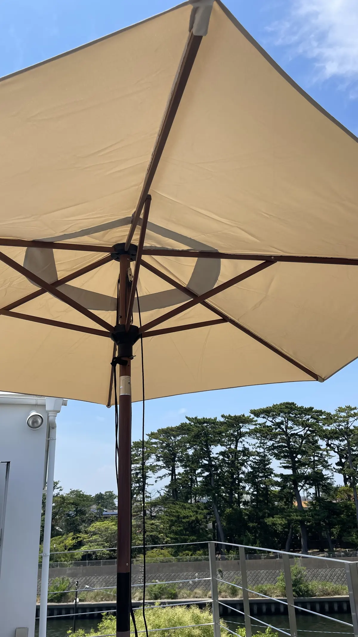 新鮮な魚介とワインで夕涼みの画像_11