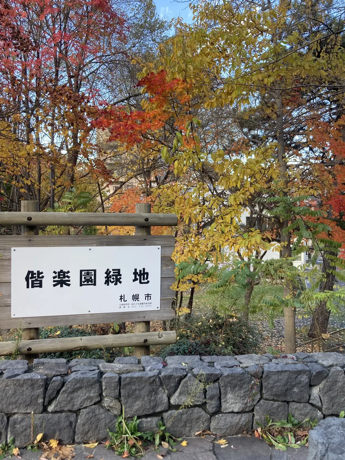 éclat エクラ　Jマダム　ブログ　北海道　札幌　トモコ　知子　北海道大学　カフェ　お一人様　おひとりさま　一人　専用　カフェ　ケイブストア
