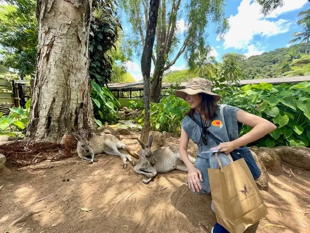 オーストラリア旅行　　キュランダへ　☆の画像_5