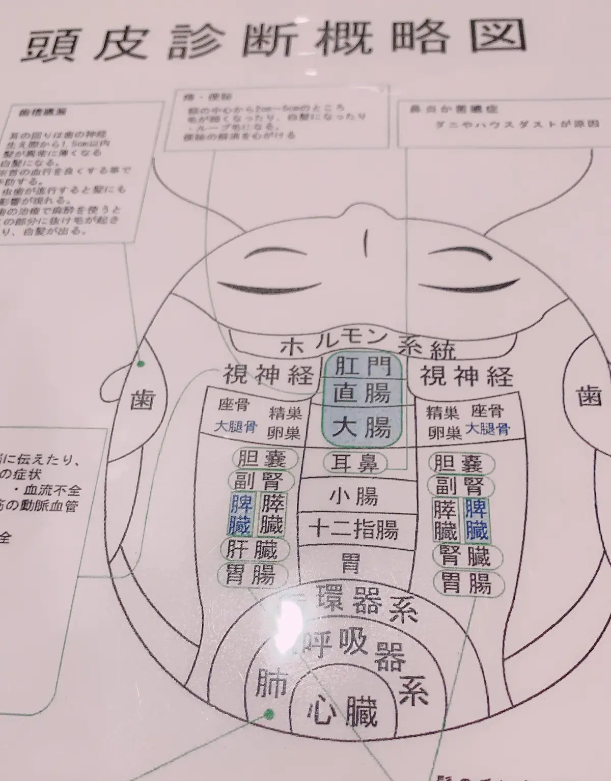 リラックス　デトックス　リセットが叶う！の画像_2