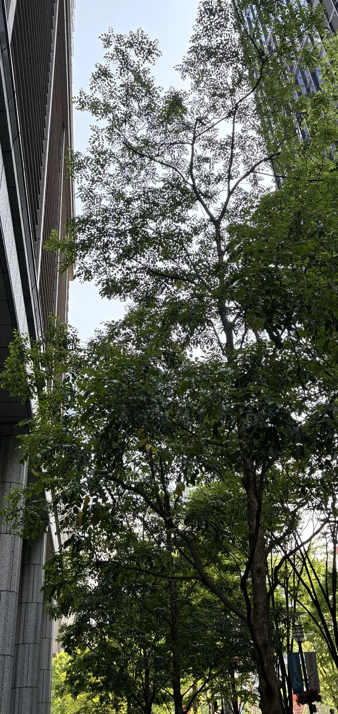 GW学生時代友人たちとランチ会@東京駅の画像_17