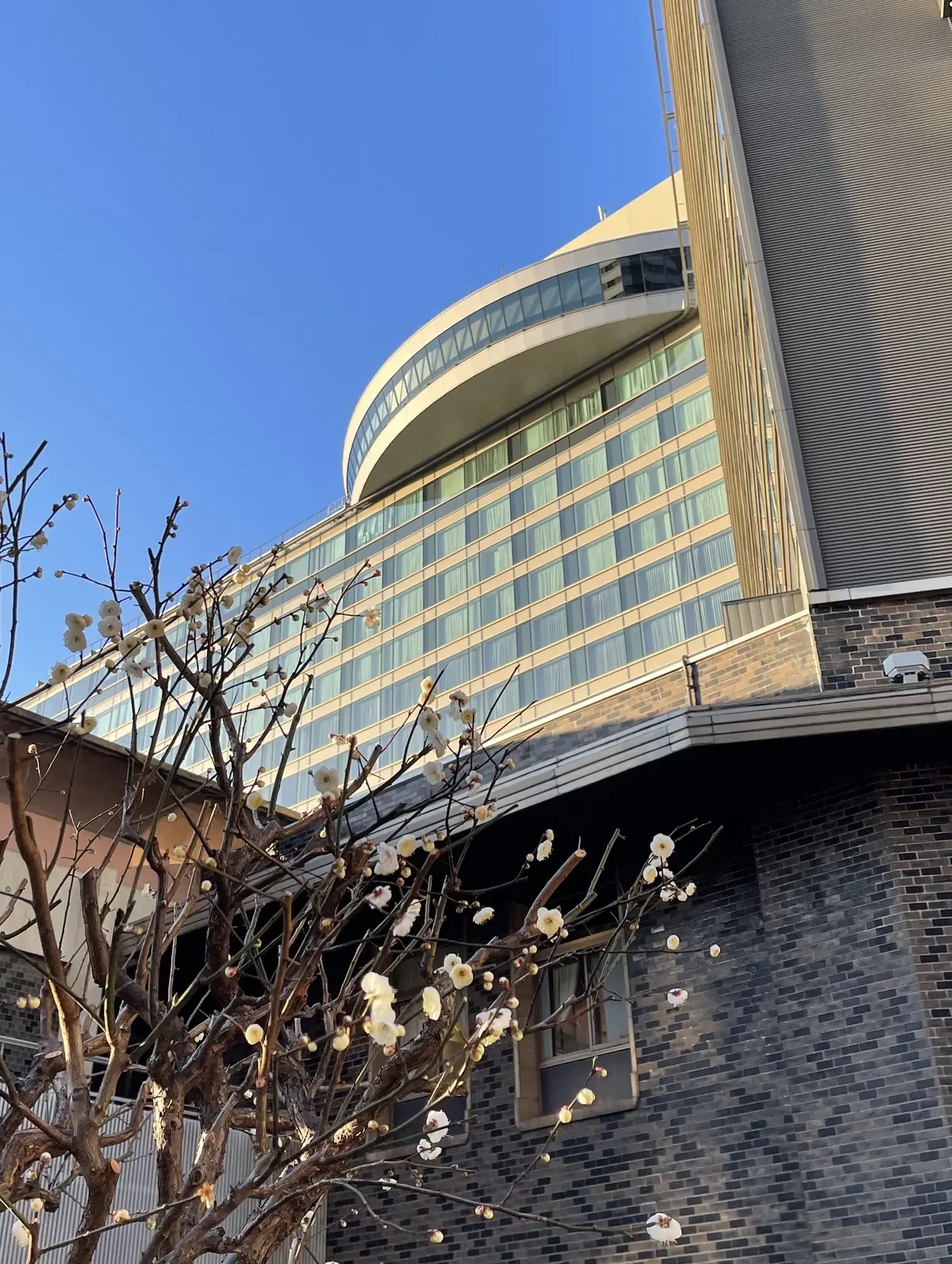 メタリックのビスチェを着て華組ホテルランの画像_1