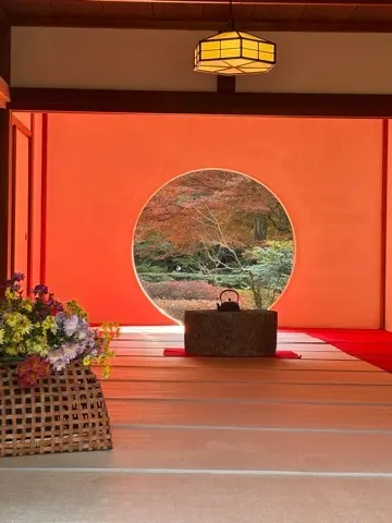 想像以上の絶景に出会えた神奈川の紅葉の見の画像_1