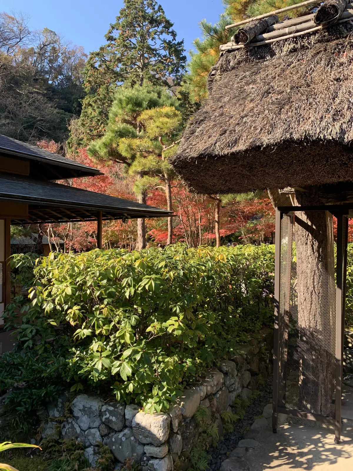 一条恵観山荘　紅葉　秋